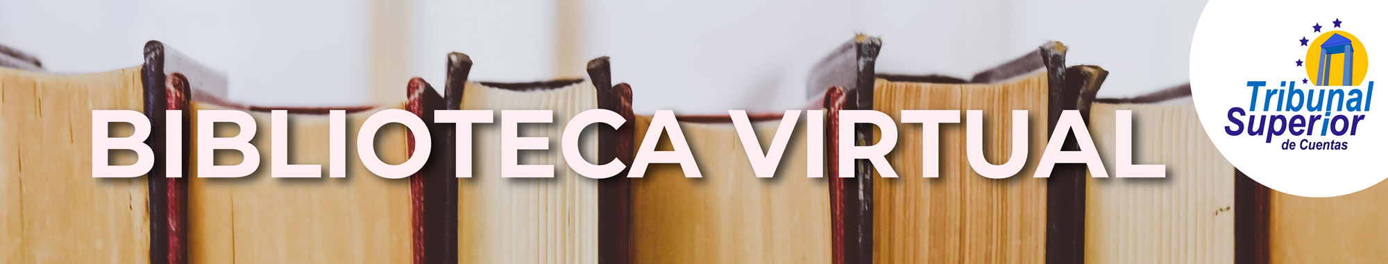 Biblioteca Virtual