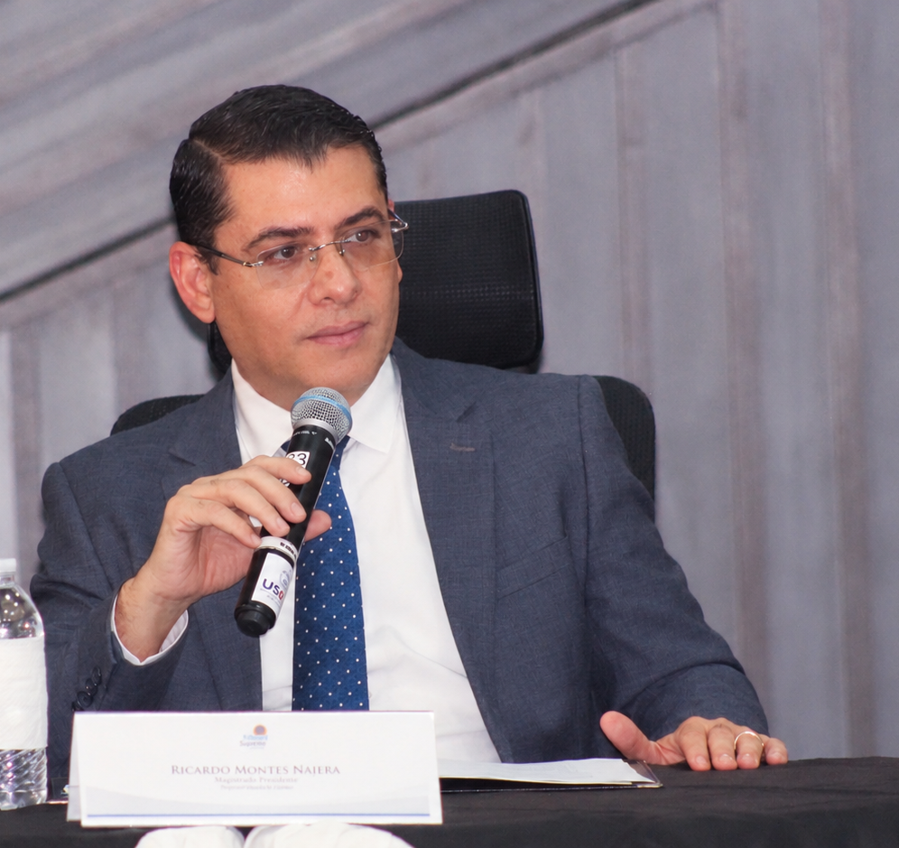 Presentación del Magistrado Ricardo Montes.